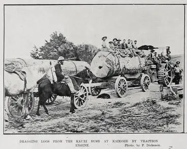 Image: DRAGGING DOGS FROM THE KAURI BUSH AT KAIKOHE BY TRACTION ENGINE
