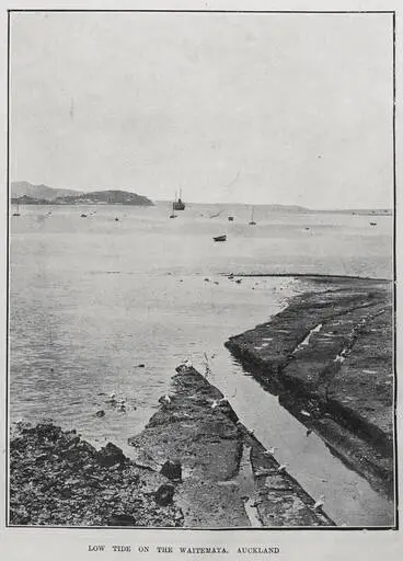 Image: LOW TIDE ON THE WAITEMATA, AUCKLAND