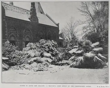 Image: WINTER IN SOUTH NEW ZEALAND: A BEAUTIFUL SNOW EFFECT IN THE CHRISTCHURCH DOMAIN