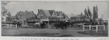 Image: THE LAST OF THE SEASON'S CLIP: WOOL BEING CARTED FROM A CANTERBURY SHEEP STATION