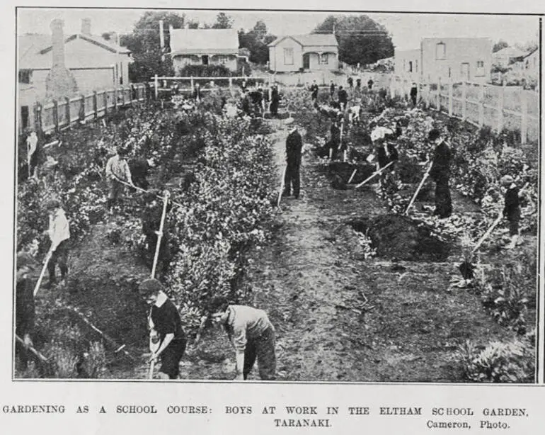 Image: GARDENING AS A SCHOOL COURSE: BOYS AT WORK IN THE ELTHAM SCHOOL GARDEN, TARANAKI