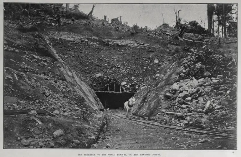 Image: THE ENTRANCE TO THE SMALL TUNN EL ON THE RAURIMU SPIRAL