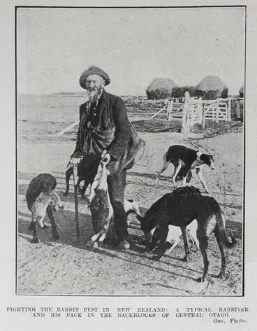 Image: FIGHTING THE RABBIT PEST IN NEW ZEALAND: A TYPICAL RABBITER AND HIS PACK IN THE BACKBLOCKS OF CENTRAL OTAGO
