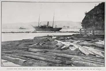 Image: Auckland's Kauri Timber Industry