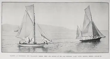 Image: Yachting At Wellington