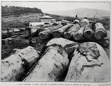 Image: A Heavy Consignment Of Timber