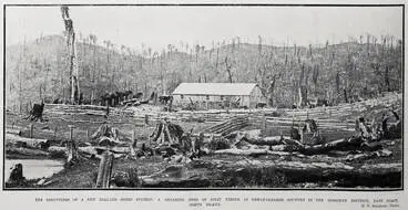 Image: A Shearing Shed Of Split Timber In Newly-Cleared Country In The Gisborne District, East Coast