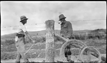 Image: Rawhiti and Greytown Jack Barr fencing at 'Beresford' near Kakanui, southern Kaipara.
