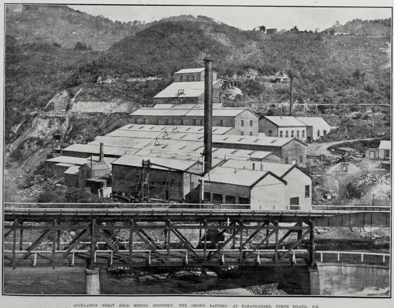 Image: Auckland's Great Gold Mining Industry