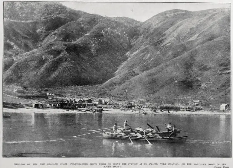 Image: Whaling On The New Zealand Coast