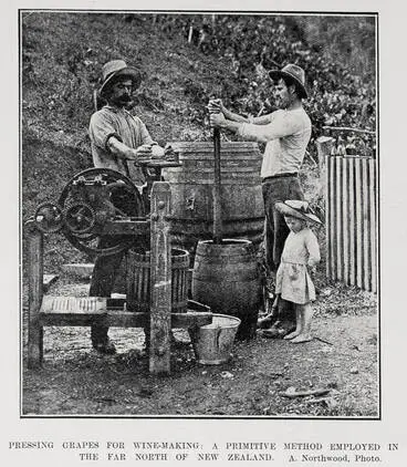 Image: Pressing Grapes For Wine-Making