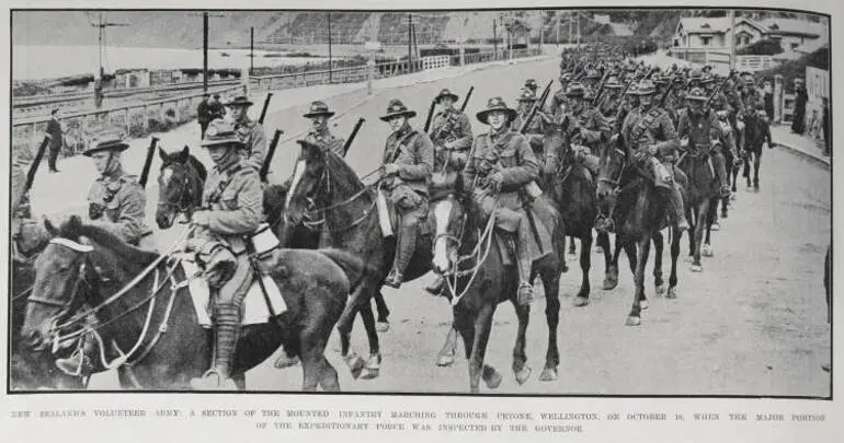 Image: New Zealand's volunteer army
