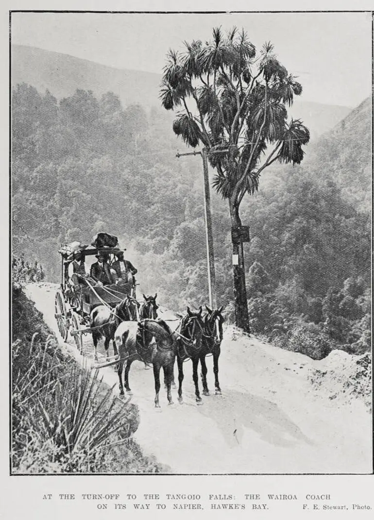 Image: At the turn-off to the Tangoio falls
