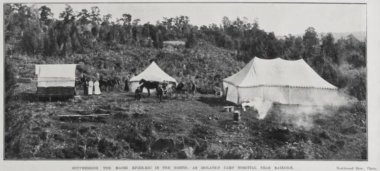 Image: Suppressing The Māori Epidemic In The North