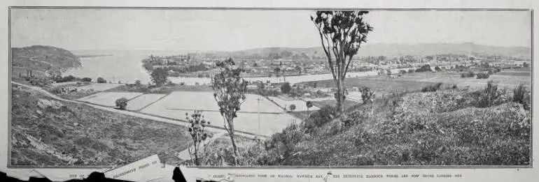 Image: One of the most progressive ports on the North Island East Coast