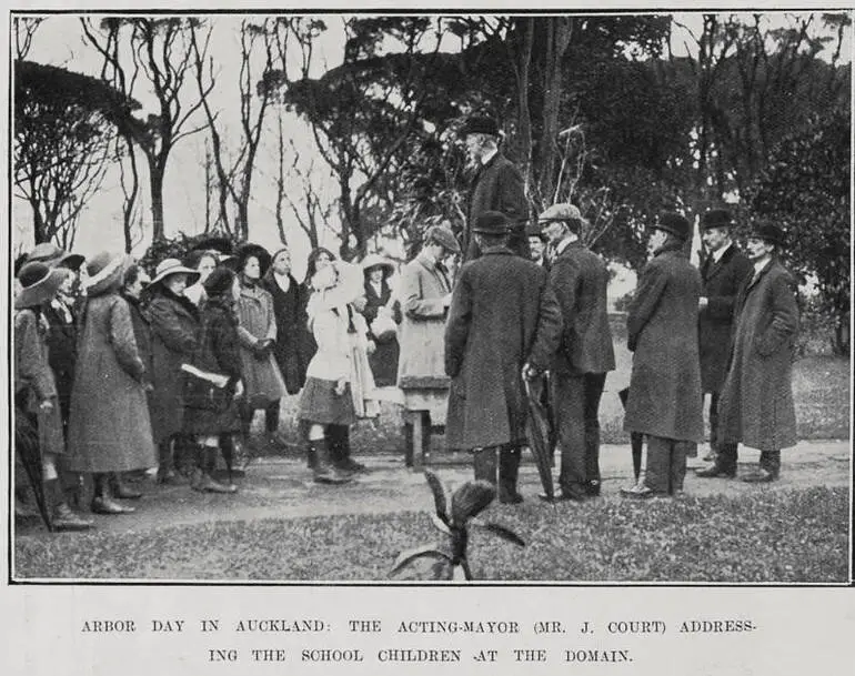 Image: Arbor Day In Auckland