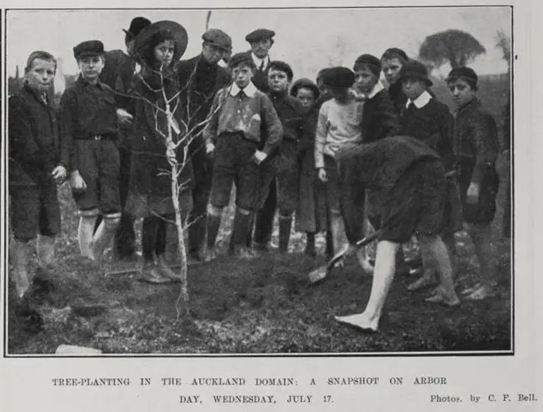 Image: Tree-Planting In The Auckland Domain
