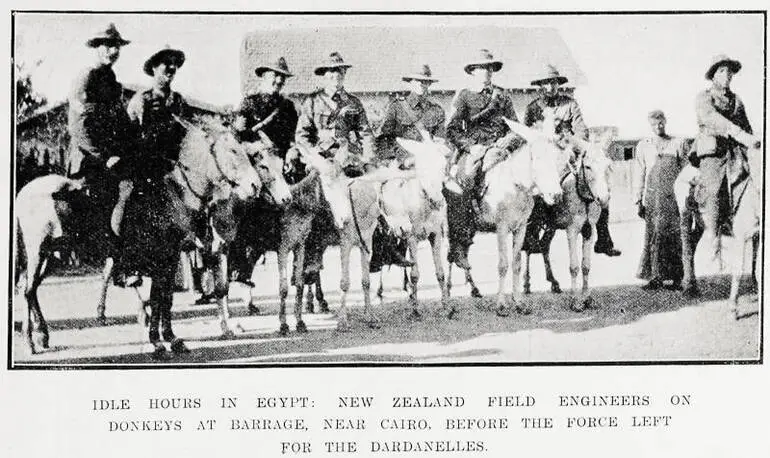 Image: Idle hours in Egypt: New Zealand field engineers on donkeys at Barrage, near Cairo, before the force left for the Dardanelles