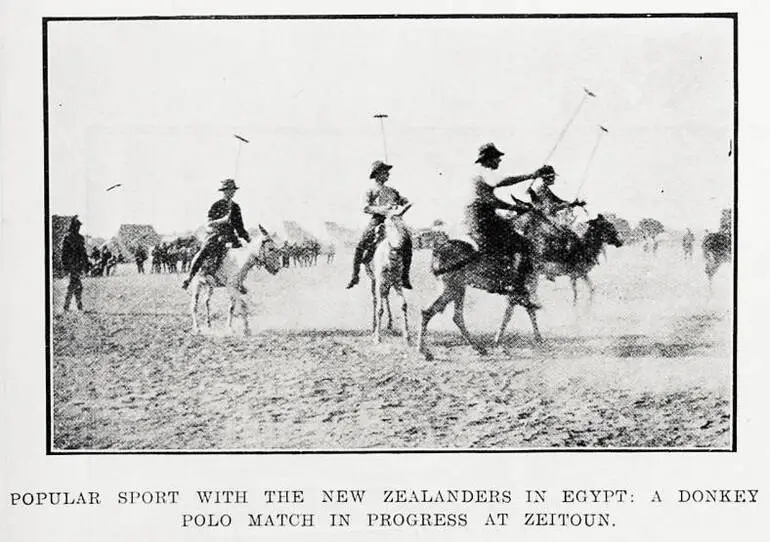 Image: Popular sport with the New Zealanders in Egypt: a donkey polo match in progress at Zeitoun