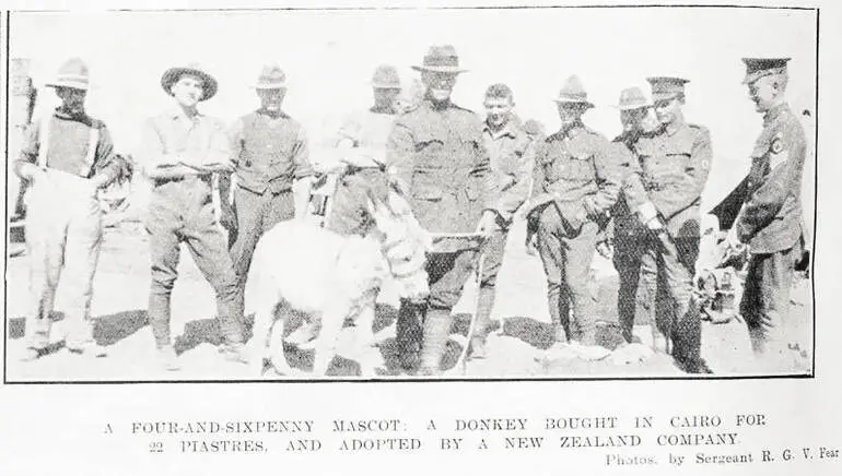 Image: A four-and-sixpenny mascot: a donkey bought in Cairo for 22 piastres, and adopted by a New Zealand company