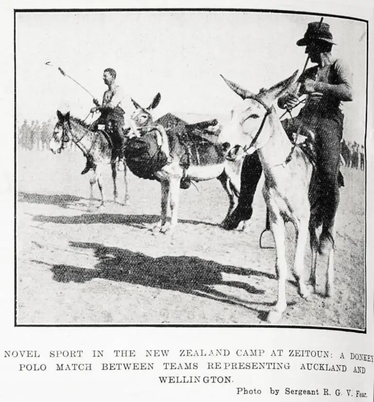 Image: Novel sport in the New Zealand camp at Zeitoun: a donkey polo match between teams representing Auckland and Wellington