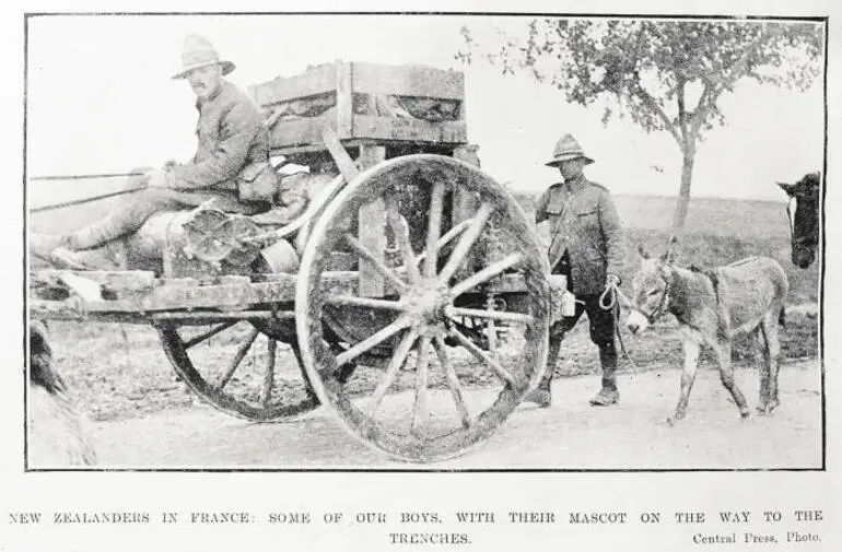 Image: New Zealanders in France: some of our boys, with their mascot on the way to the trenches