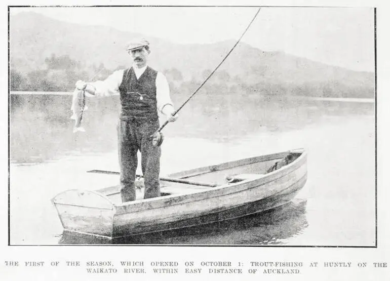 Image: The first of the season, which opened on October 1 : trout-fishing at Huntly River, within easy distance of Auckland