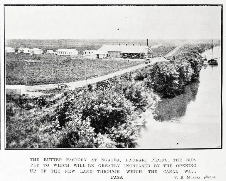 Image: The butter factory at Ngatea, Hauraki Plains, the supply to which will be greatly increased by the opening up of the new land through which the canal will pass