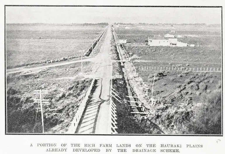 Image: A portion of the rich farm lands on the Hauraki Plains already developed by the drainage scheme