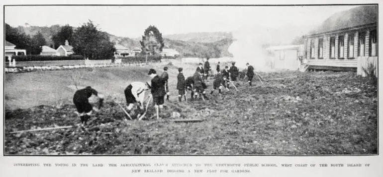 Image: Interesting the young in the land: Greymouth Public School agricultural class