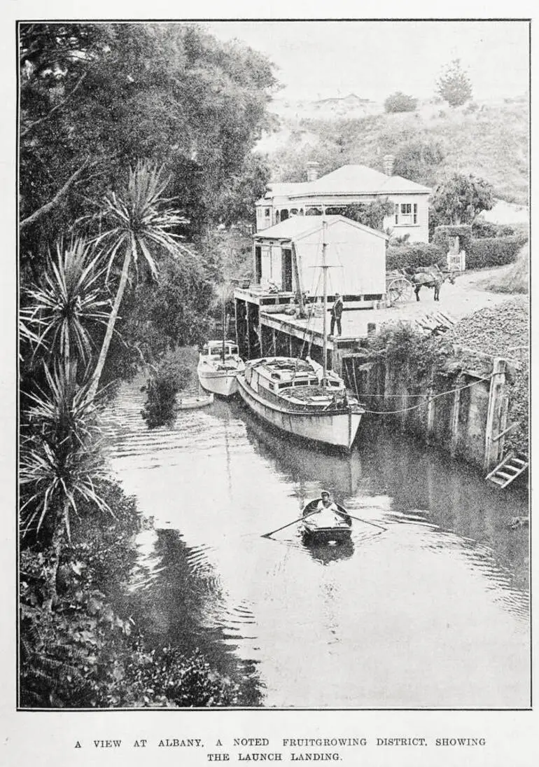 Image: A view at Albany, a noted fruit growing district, showing the launch landing
