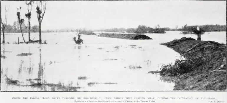 Image: Where the raging flood broke through: the stop- bank at Puke Bridge that carried away, causing the inundation of Netherton