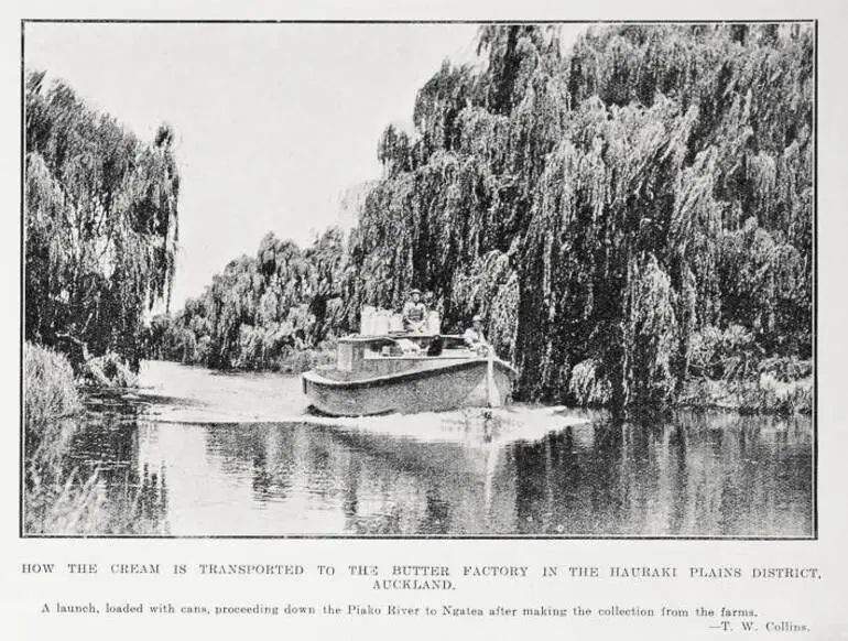 Image: How The Cream Is Transported to the Butter Factory in the Hauraki Plains District, Auckland