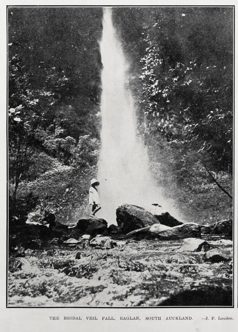 Image: The Bridal Veil Fall, Raglan, South Auckland