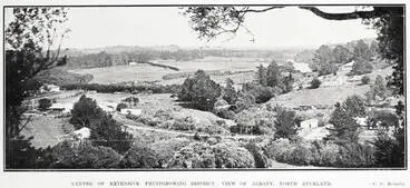 Image: Centre Of Extensive Fruit growing District: View Of Albany, North Auckland
