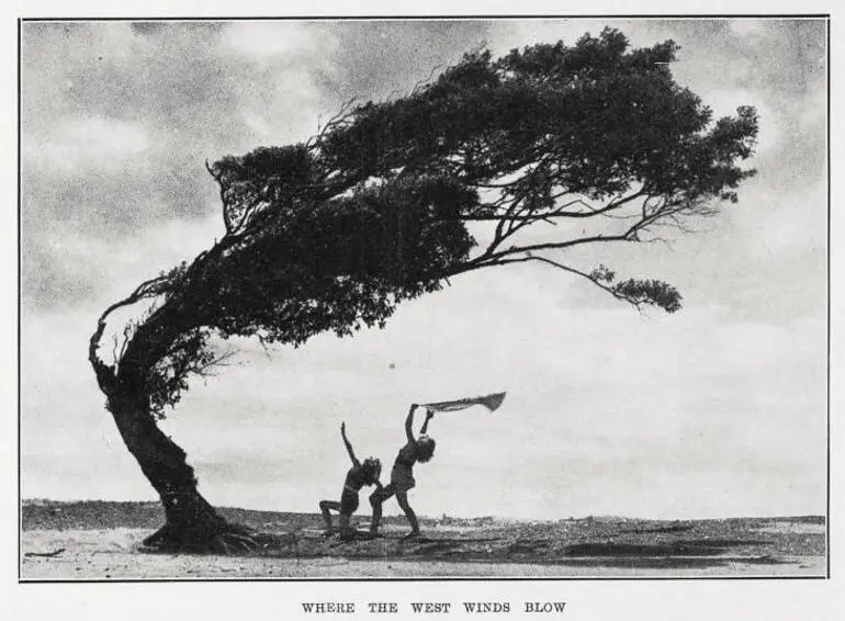 Image: Where the west winds blow