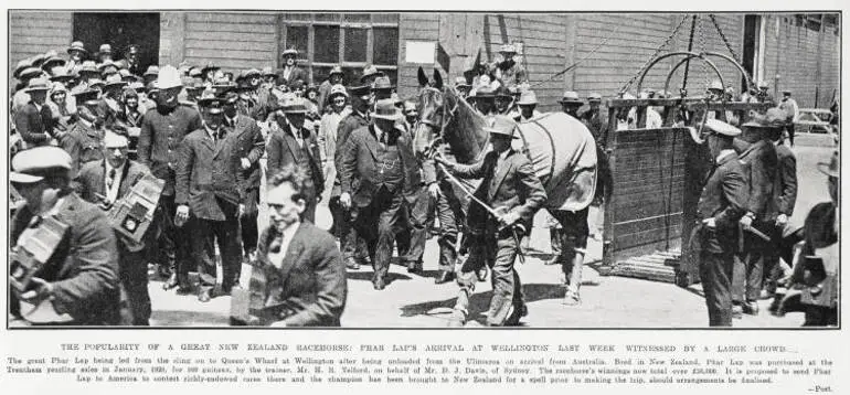 Image: The Popularity of a Great New Zealand Racehorse: Phar Lap's Arrival At Wellington Last Week Witnessed by a Large Crowd