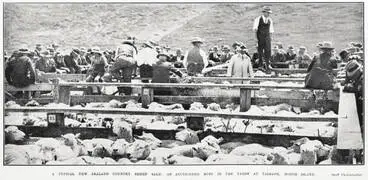 Image: A Typical New Zealand Country Sheep Sale: An Auctioneer Busy in the Yards At Taihape, North Island