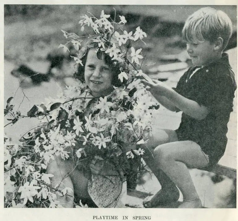Image: Playtime in spring