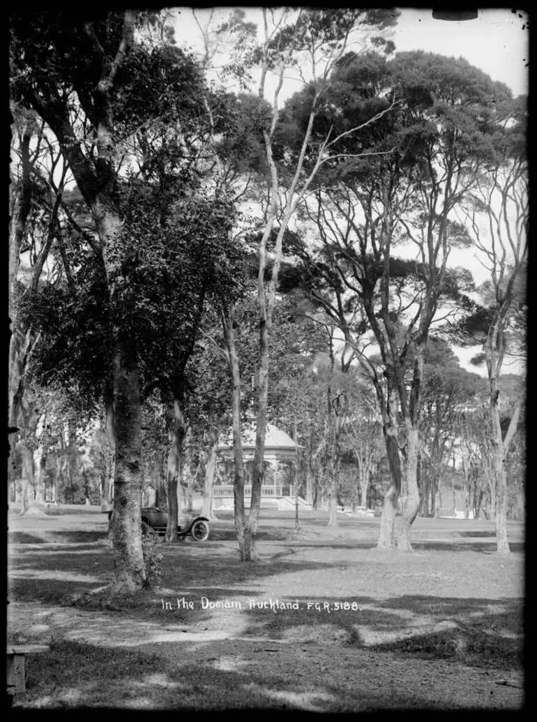 Image: In the Domain, Auckland