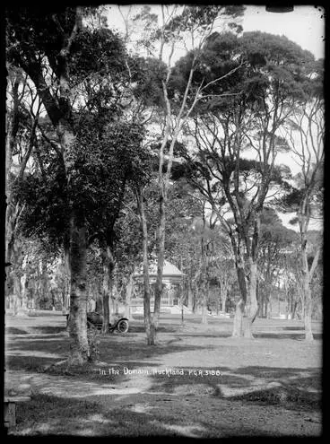 Image: In the Domain, Auckland