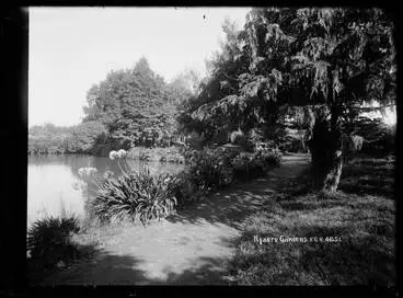 Image: Ngaere Gardens, Taranaki