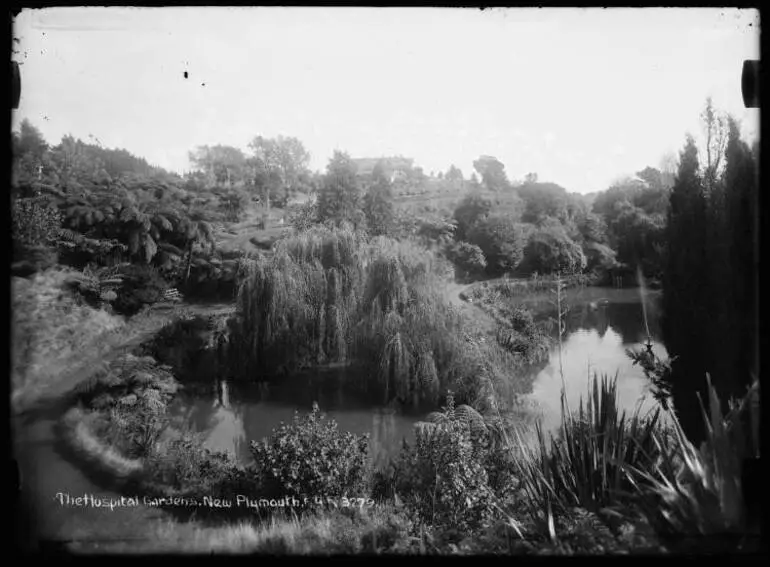 Image: The Hospital Gardens, New Plymouth
