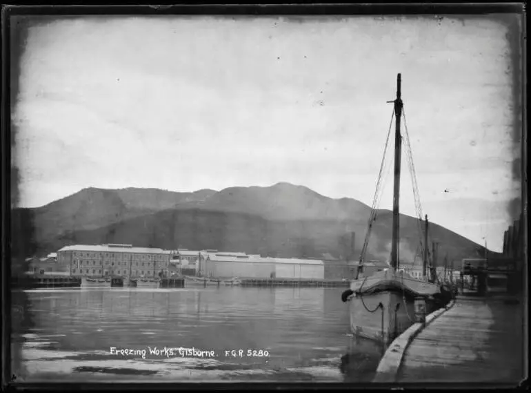 Image: Freezing Works, Gisborne
