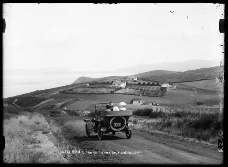 Image: On the Road to Waikōwhai Park, Auckland
