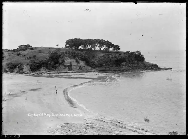 Image: Castor Oil Bay, Auckland