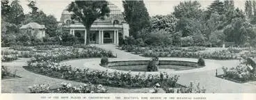 Image: One of the show places of Christchurch: the beautiful rose section of the Botanical Gardens