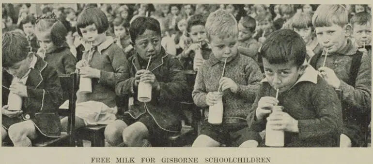 Image: Free milk for Gisborne schoolchildren