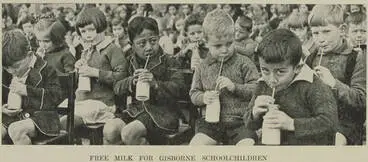 Free milk for Gisborne schoolchildren Image: Free milk for Gisborne schoolchildren