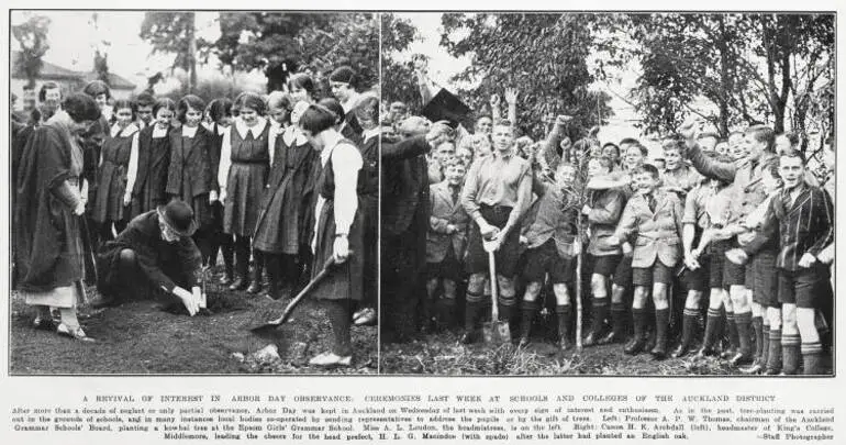 Image: A revival of interest in Arbor day observance: ceremonies last week at schools and colleges of the Auckland district